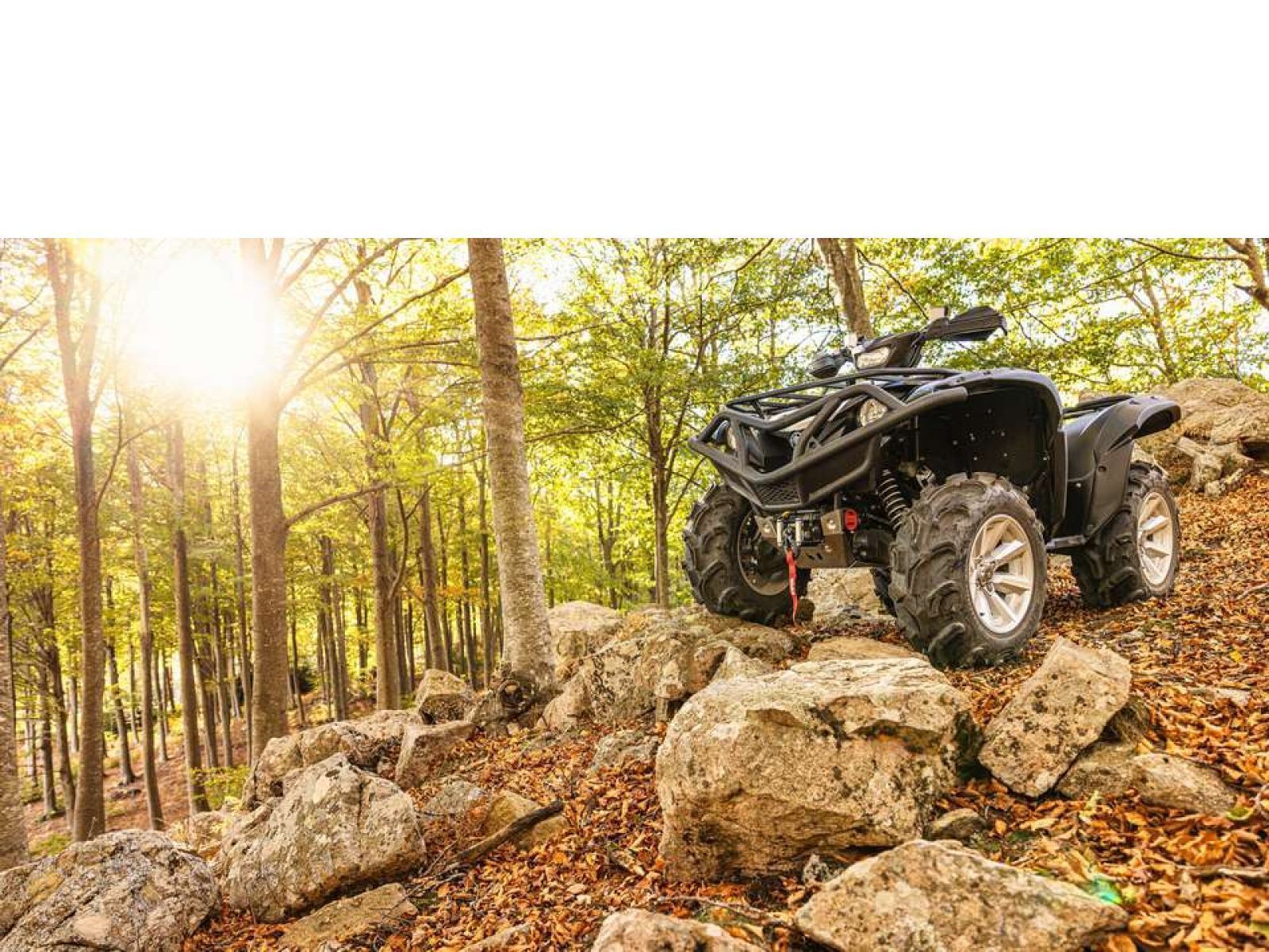 Мотовездеход ATV YAMAHA Grizzly 700 EPS SE 25 TH Anniversary (Low Gloss Black) 2024